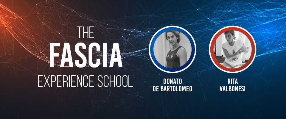 THE FASCIA EXPERIENCE SCHOOL