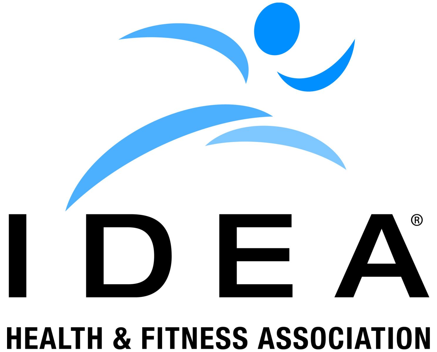 IDEA logo