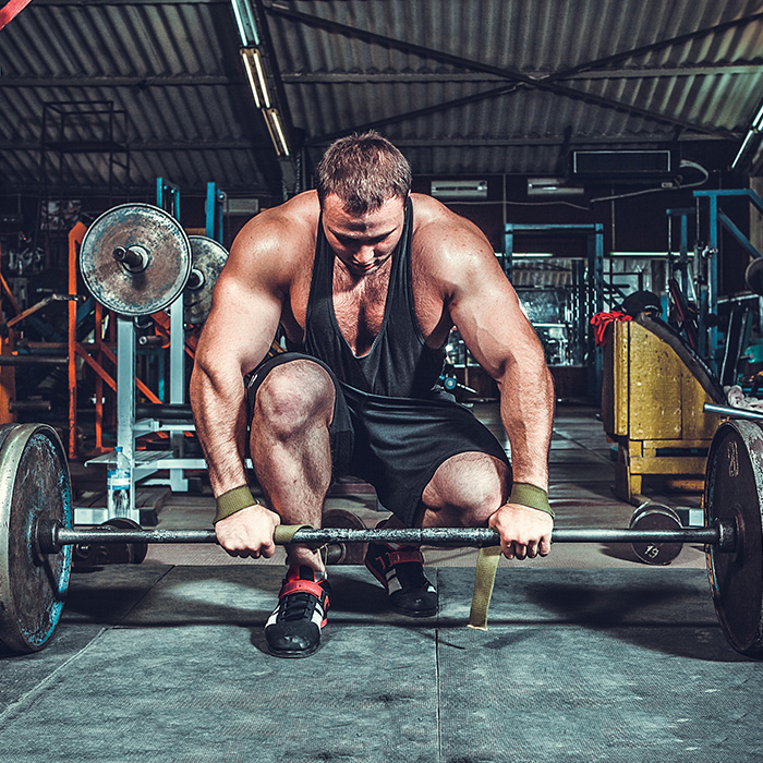 body building hardcore