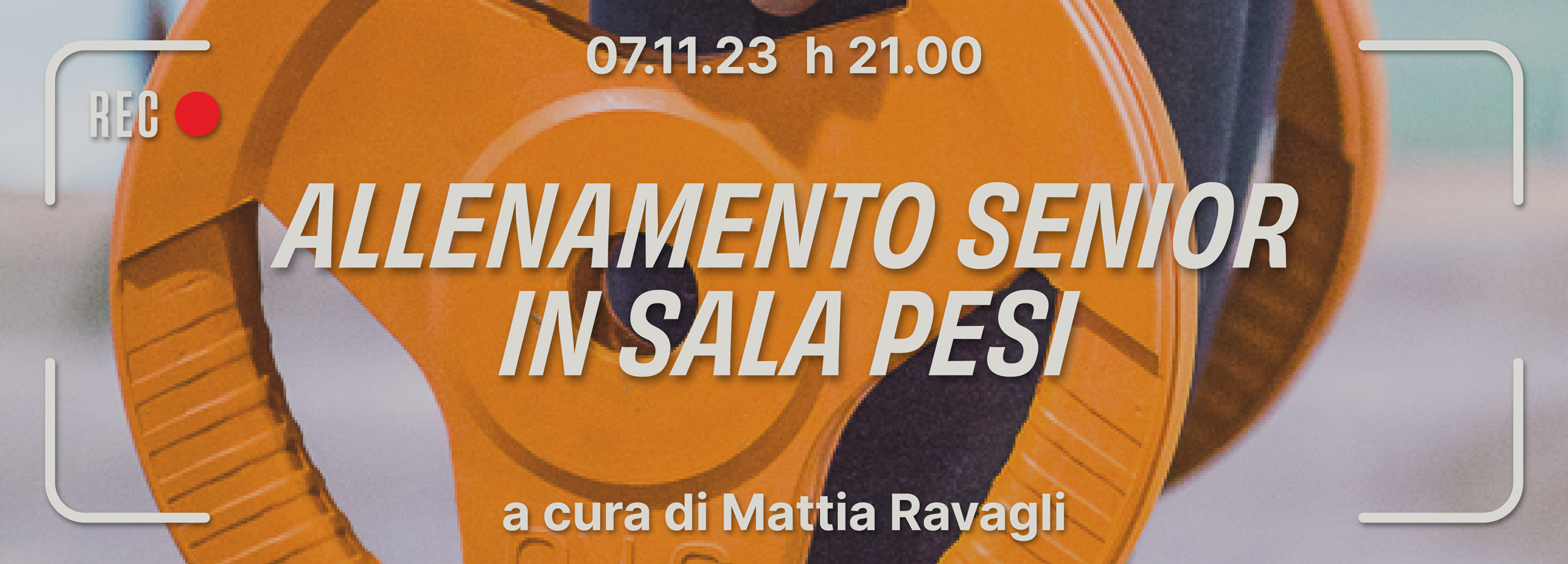 7 novembre