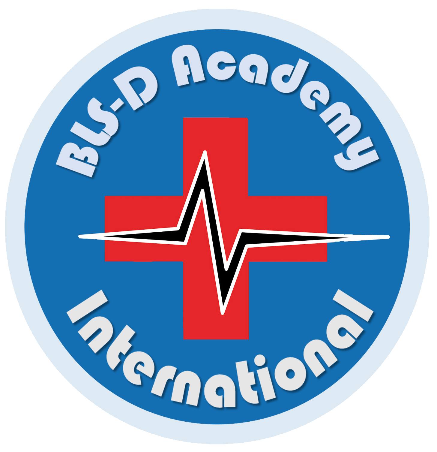 blsd academy logo