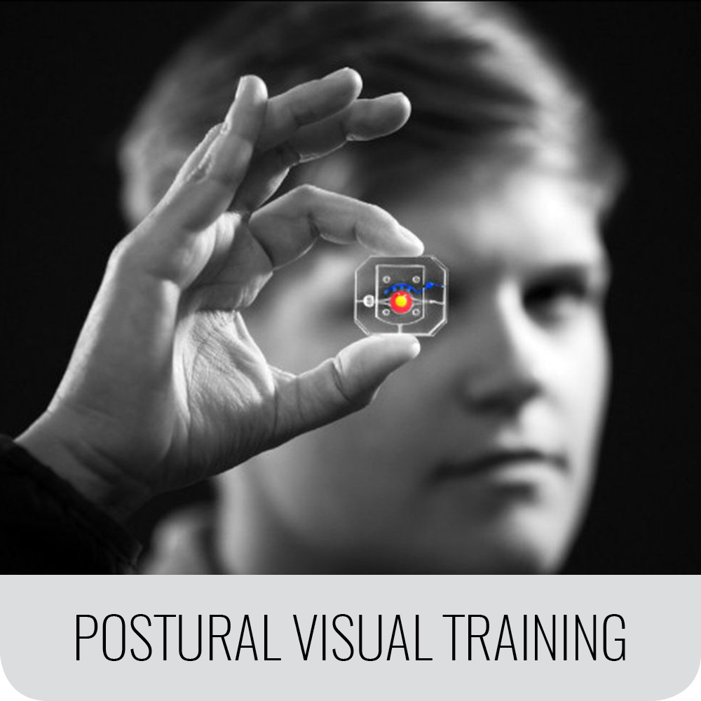 postural visual training