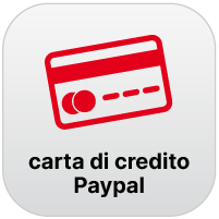 icona paypal