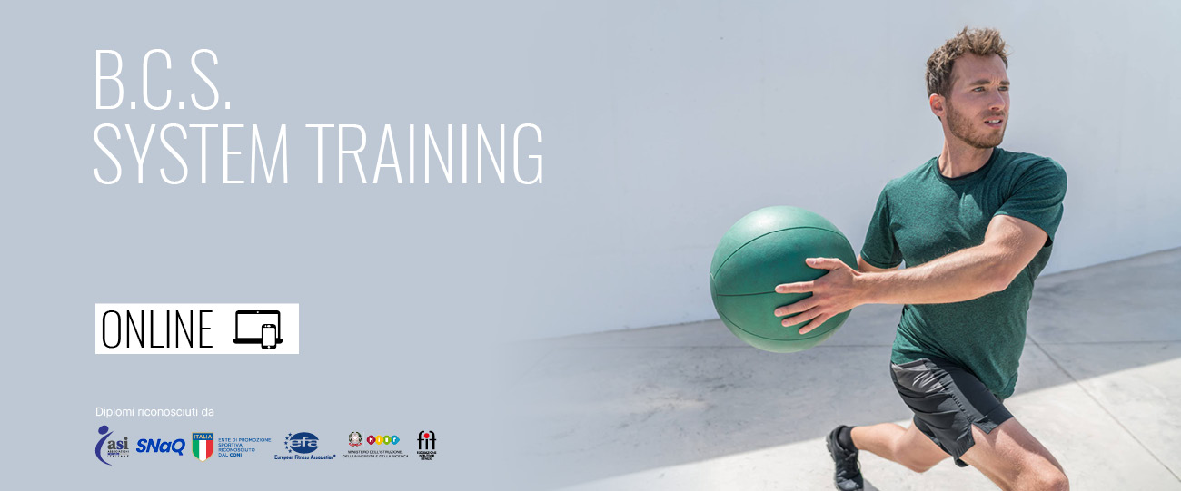 bcs system training online