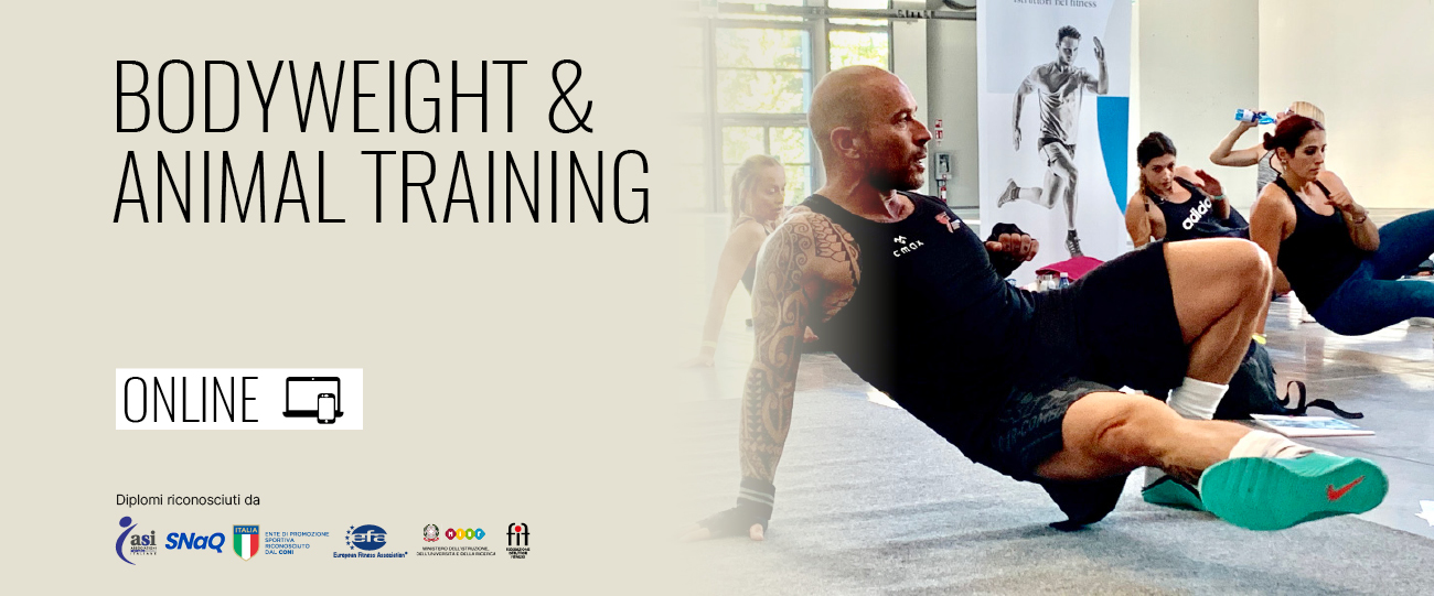bodyweight animal online