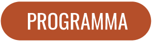 pulsante programma