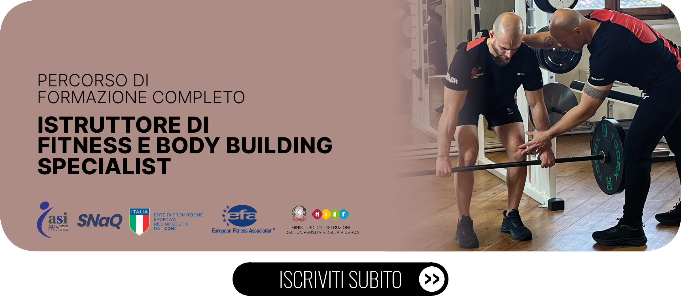 fitness bb specialist