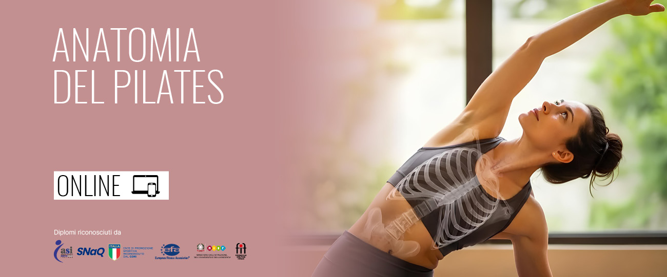 anatomia pilates online
