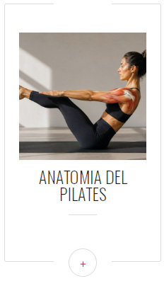 anatomia pilates
