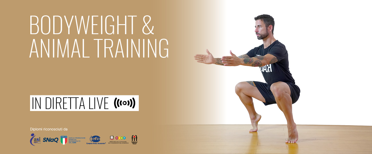 bodyweight animal training live