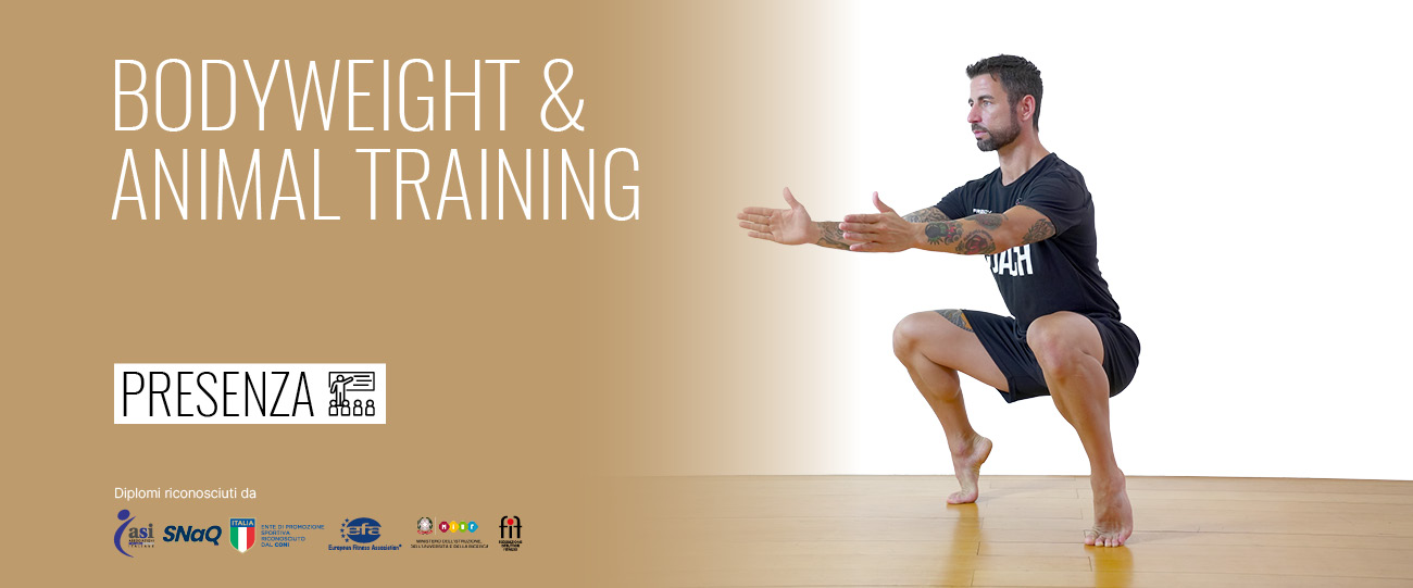 bodyweight animal training
