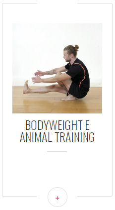 bodyweight