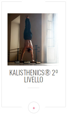 calisthenics 2
