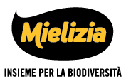 mielizia