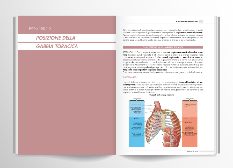 pagine interne anatomia pilates