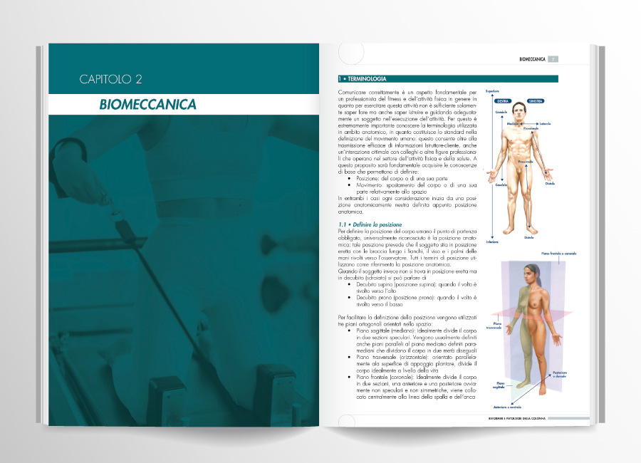 pagine interne reformer patologie colonna