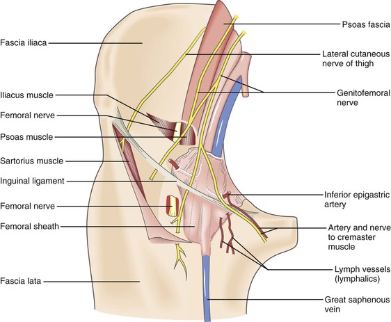 figura3