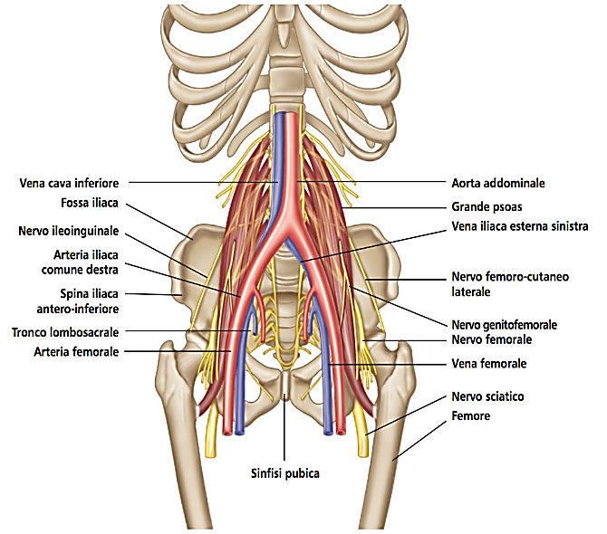 figura4