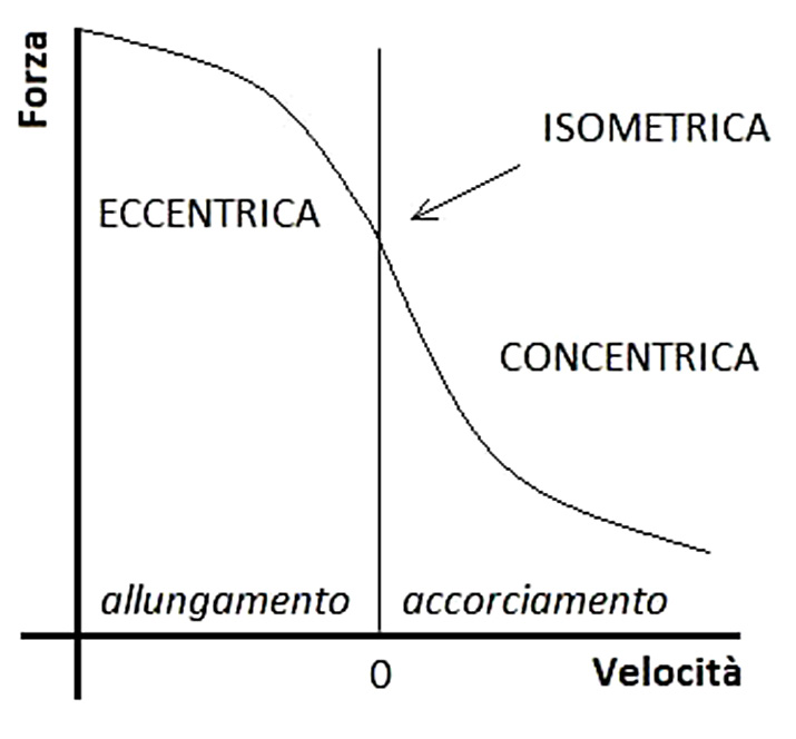 schema