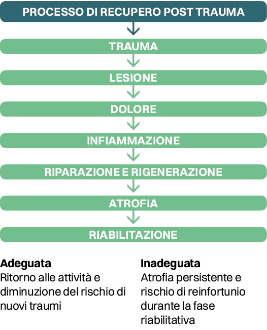 rieducazione 2