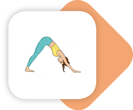 digital yoga