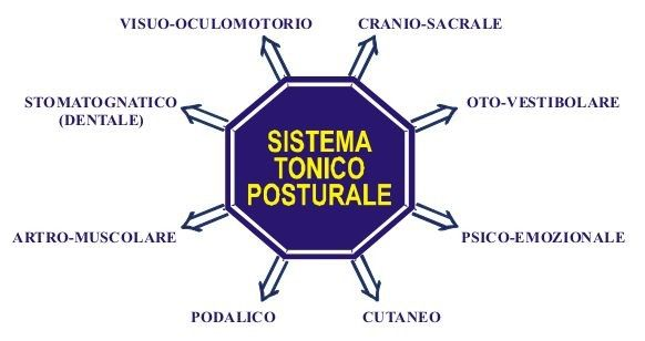 sistema tonico