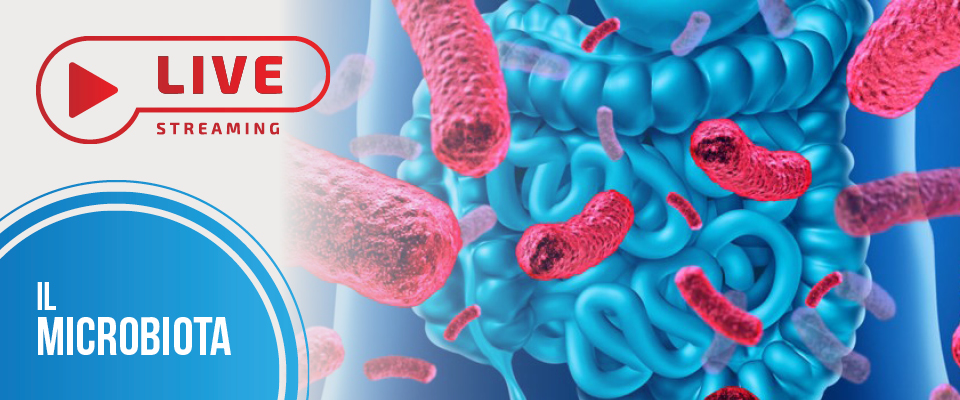MICROBIOTA