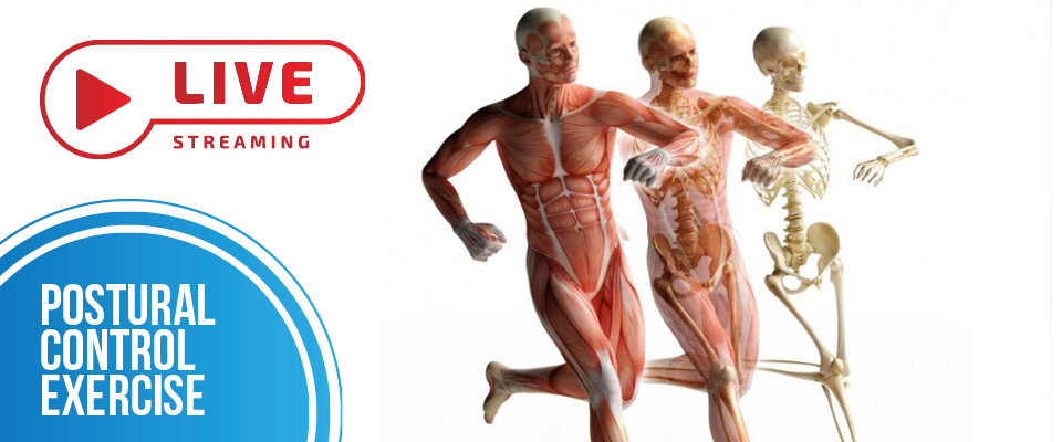 postural control exercise