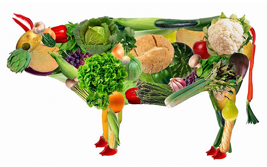 Carico proteico, salute renale e alimentazioni vegane