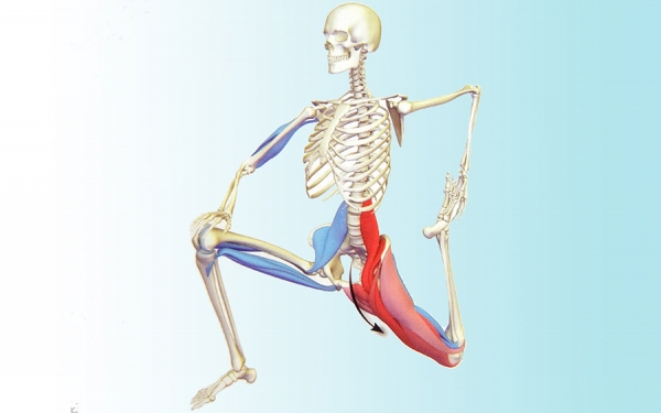 ORIZZONTI POSTURALI - Lo “psoas” in ambito posturale: mito o realtà