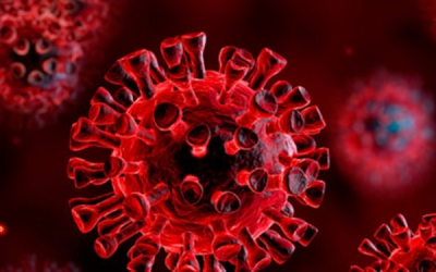 Ordinanza Coronavirus, quali corsi ci saranno e come continuare a formarsi
