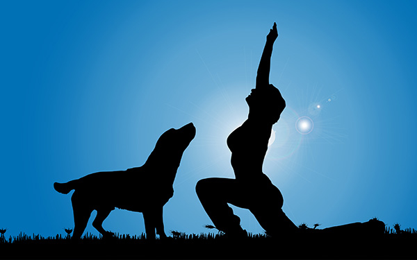 Le strane forme dello yoga