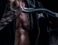Workout Routines